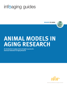 Infoaging Guide to Animal Models in Aging Research