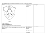 Assessment Questions for each Essential Question