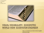 Visual Vocabulary: Ecocentric World view