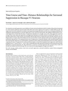 Time Course and Time–Distance Relationships for Surround