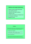 Collisions and transport phenomena