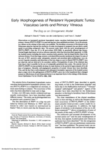 Early morphogenesis of persistent hyperplastic tunica