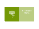 Seeds and Plants - Whitman College