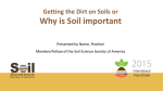 Getting the Dirt on Soils or Why is Soil Important