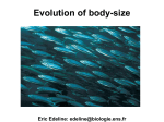 Evolution of body-size