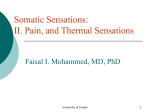 Somatic Sensations: II. Pain, Headache, and Thermal