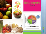 MyPlate replaces which of the following