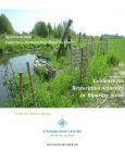 Guidance for Restoration Activities in Riparian Areas