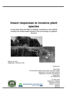 Insect responses to invasive plant species