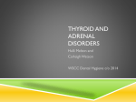 Thyroid and adrenal disorders
