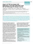 Ang IIAT1R Increases Cell Migration Through PI3K/AKT and NFB