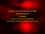 apoptosis - The University of Western Australia