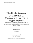 The Evolution and Occurrence of Compound Leaves in Magnoliophyta