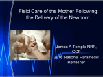 Field Care of the Mother Following the Delivery of the Newborn