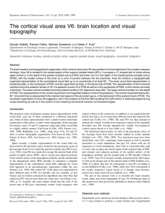 The cortical visual area V6: brain location and visual topography