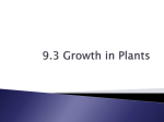 9.3 Growth in Plants