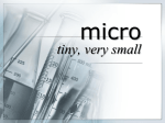 micro word review list