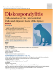 Diskospondylitis