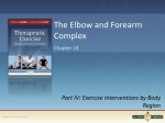 structure and function of the elbow and forearm