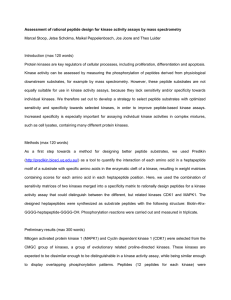 Assessment of rational peptide design for kinase activity