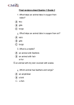 Final revision sheet Quarter 1 Grade 2