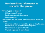How hereditary information is stored in the genome.