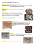 Notes from 6.2 Types of Sedimentary Rocks pages 141