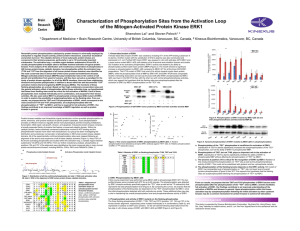 Characterization of Phosphorylation Sites from the Activation Loop