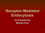 Receptor Mediated Endocytosis