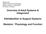 PowerPoint Lecture - Dr. Stuart Sumida