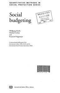 Social budgeting - Social Protection Platform