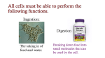 All cells must be able to perform the following functions.