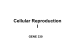 Cellular Reproduction I.