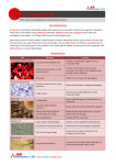 Stem cells and cell adaptations to particular functions