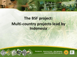 Multi-country projects lead by Indonesia BSF project I