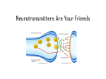 Bio LOA Neurotransmitters are your friends