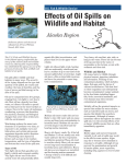 Effects of Oil Spills on Wildlife and Habitat