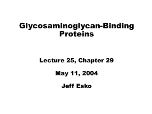 GAG binding proteins
