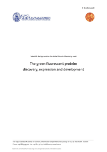 The green fluorescent protein: discovery