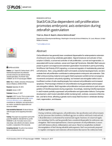 Stat3/Cdc25a-dependent cell proliferation promotes embryonic axis