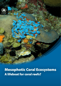 Mesophotic Coral Ecosystems - UNEP Document Repository Home