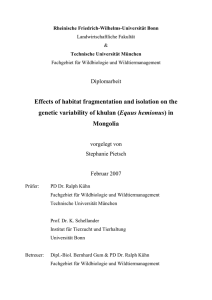 Effects of habitat fragmentation and isolation on the genetic