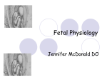 Fetal Physiology