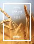 grains - Kellogg Company