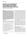 Anterior eye development and ocular mesenchyme: new insights