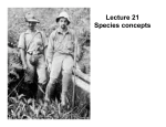 Lecture 21 Species concepts