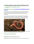 2. Of the more than 180 earthworm species found in the
