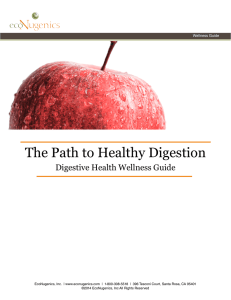 The Path to Healthy Digestion