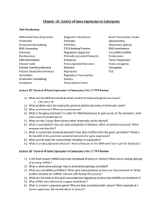 Chapter 19: Control of Gene Expression in Eukaryotes