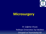 mikrosurgery - yeditepetip